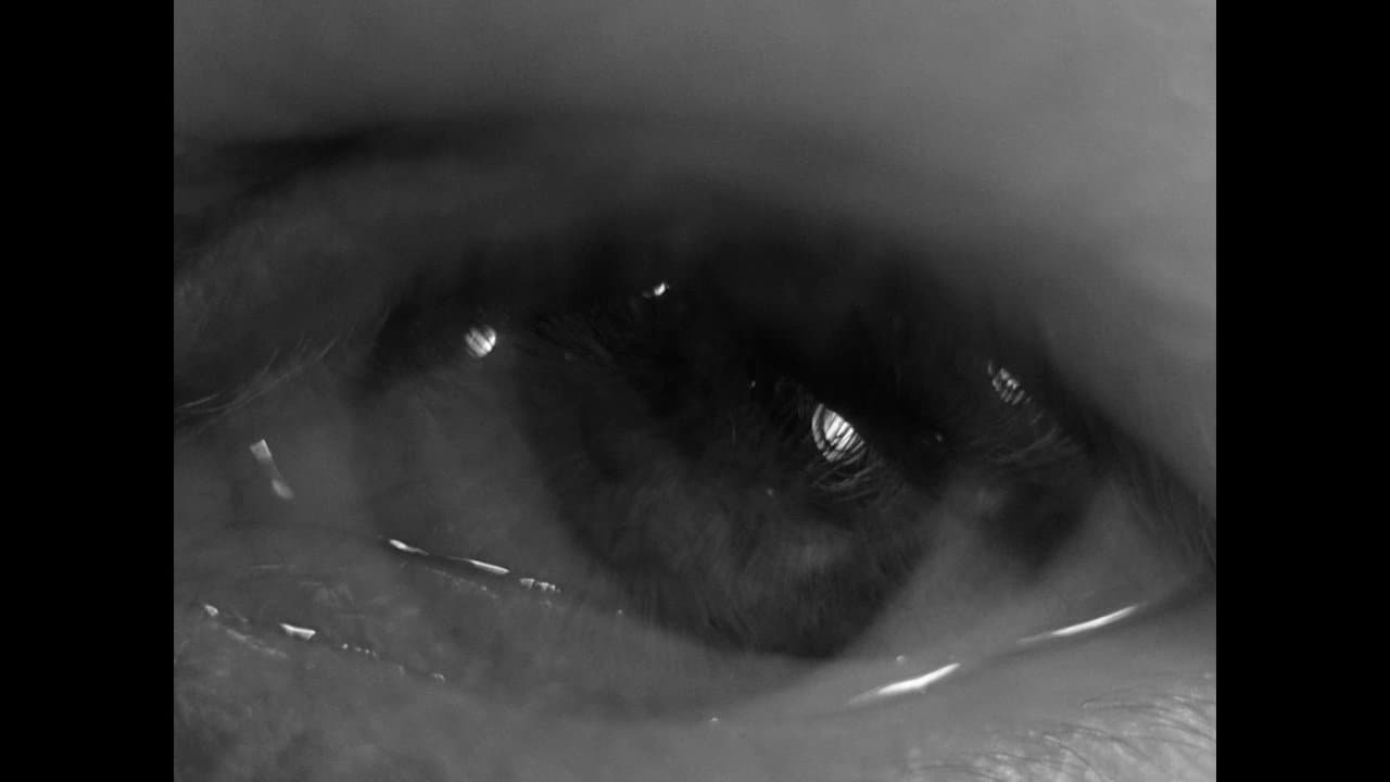 Ingmar Bergman's eye backdrop