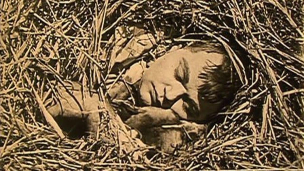 The Hayseed backdrop