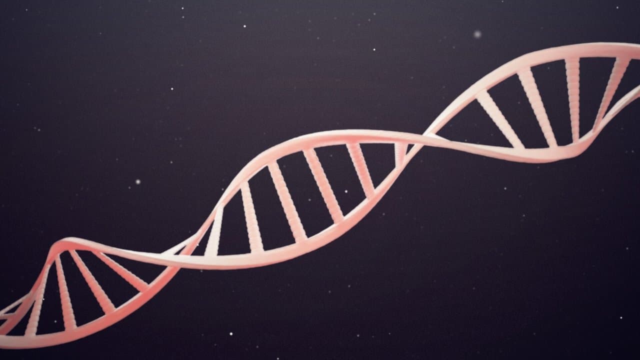 DNA-detektiven: Dubbelmordet i Linköping backdrop