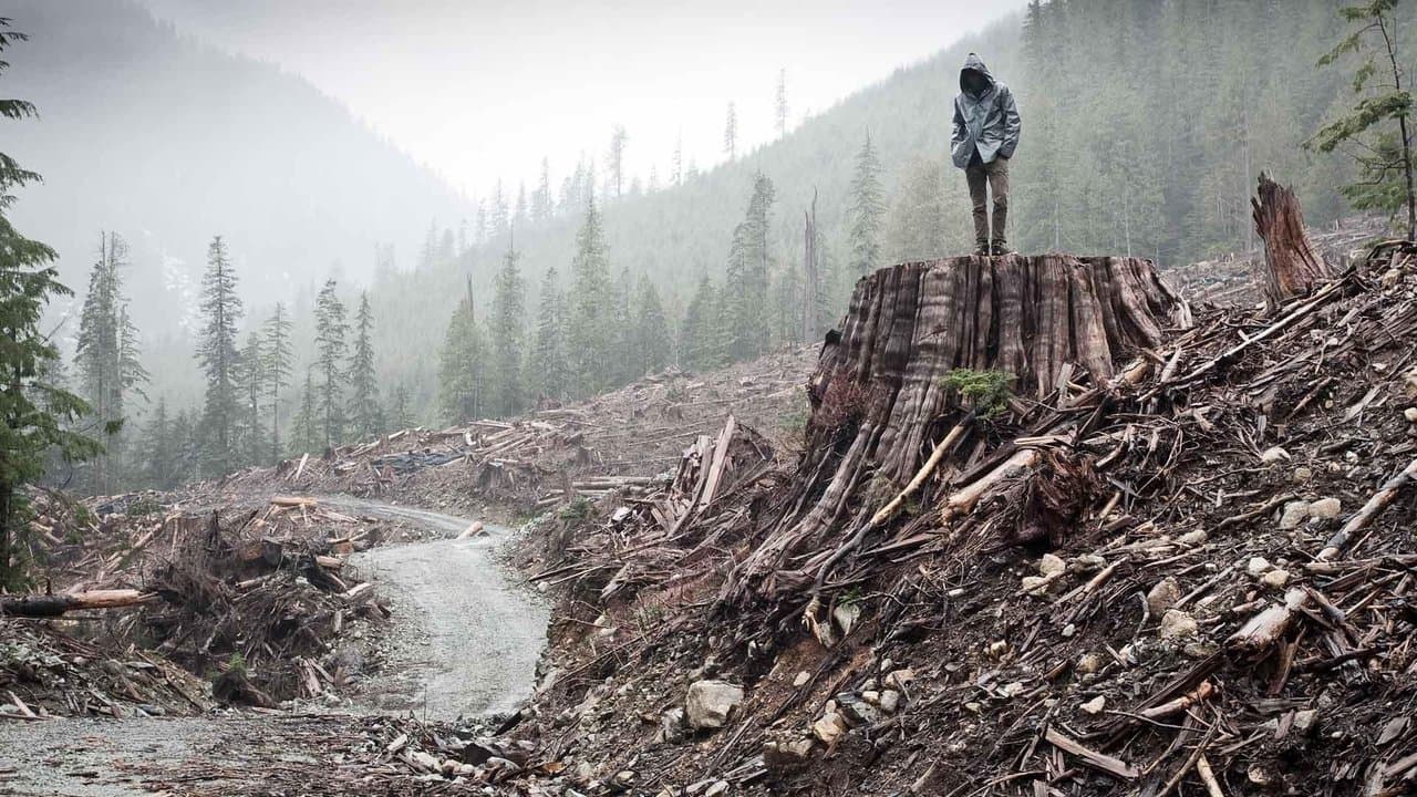 If a Tree Falls: A Story of the Earth Liberation Front backdrop