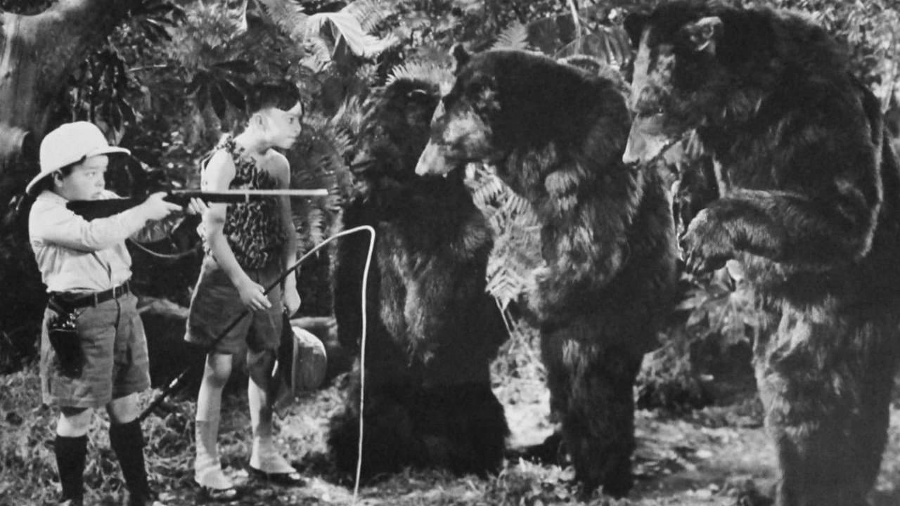 Bear Facts backdrop