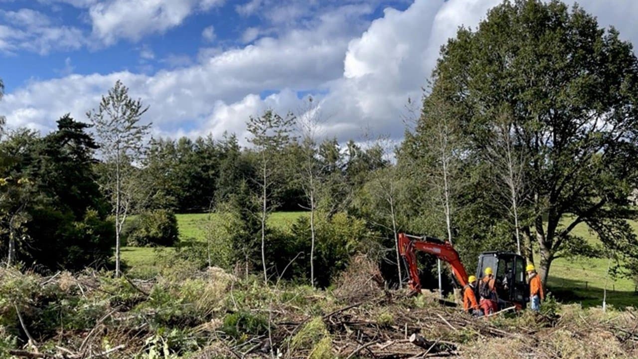 Forêts françaises en quête d'avenir backdrop
