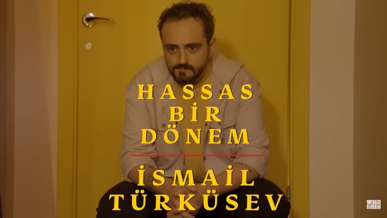 Hassas Bir Dönem - İsmail Türküsev backdrop