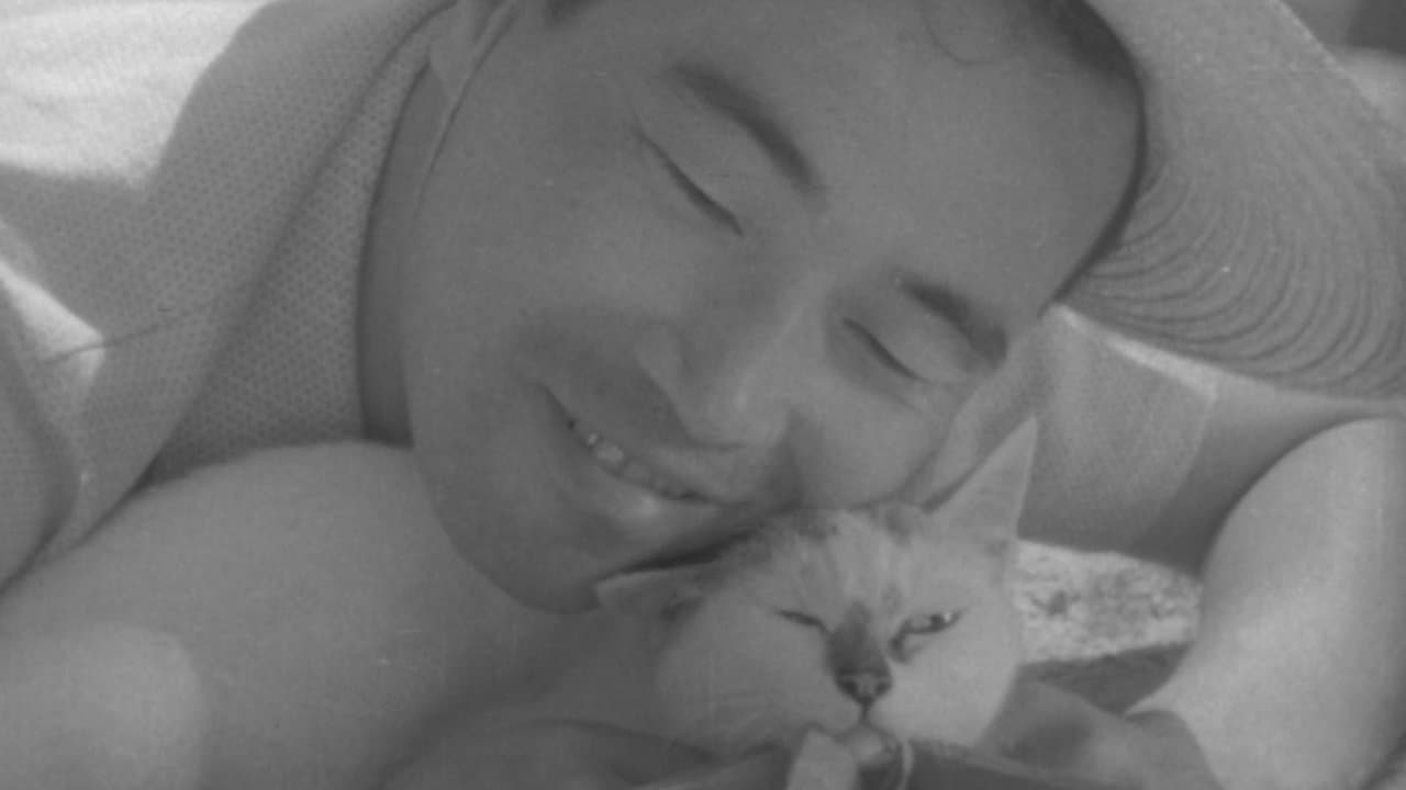 Shozo, a Cat and Two Women backdrop