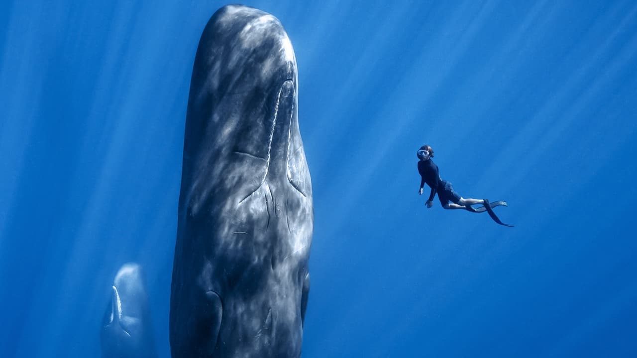 Patrick and the Whale backdrop