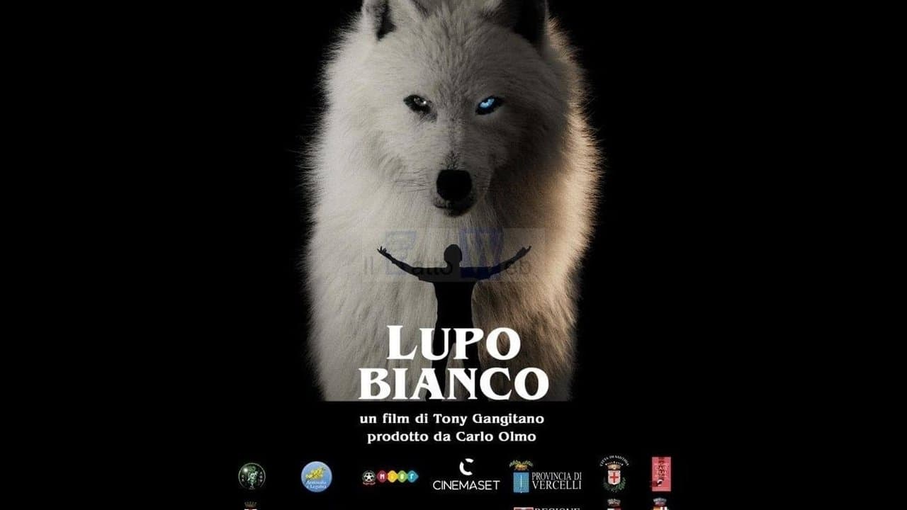 Lupo bianco backdrop