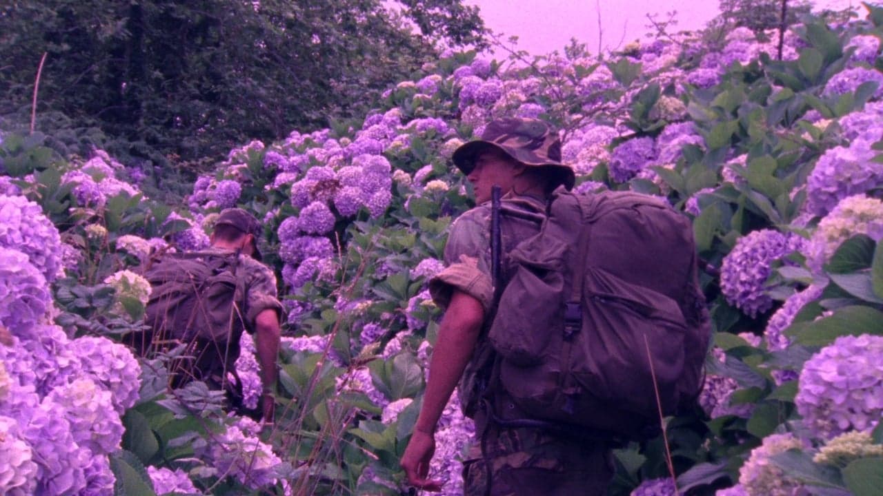 Flores backdrop