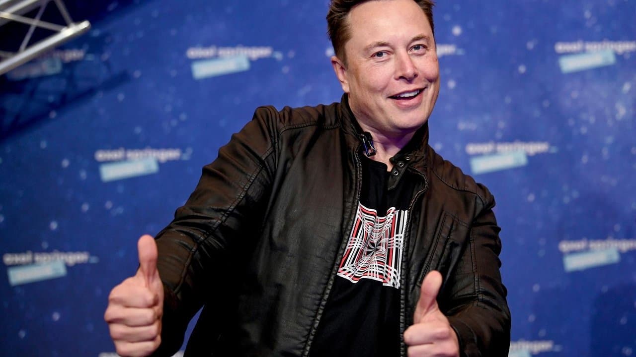 The Elon Musk Story backdrop
