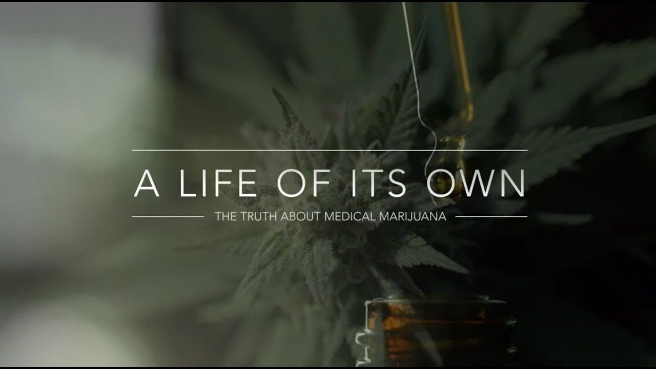 A Life of Its Own: The Truth About Medical Marijuana backdrop