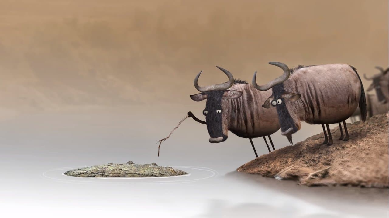 Wildebeest backdrop