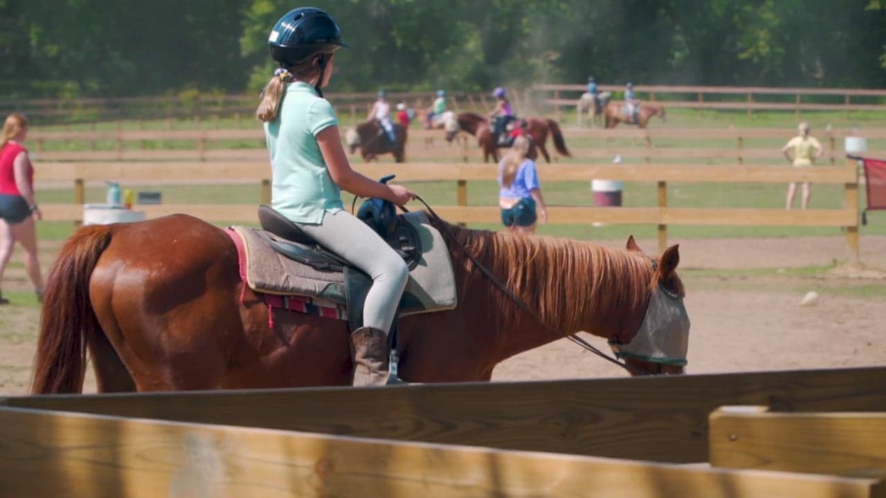 Horse Camp: A Love Tail backdrop