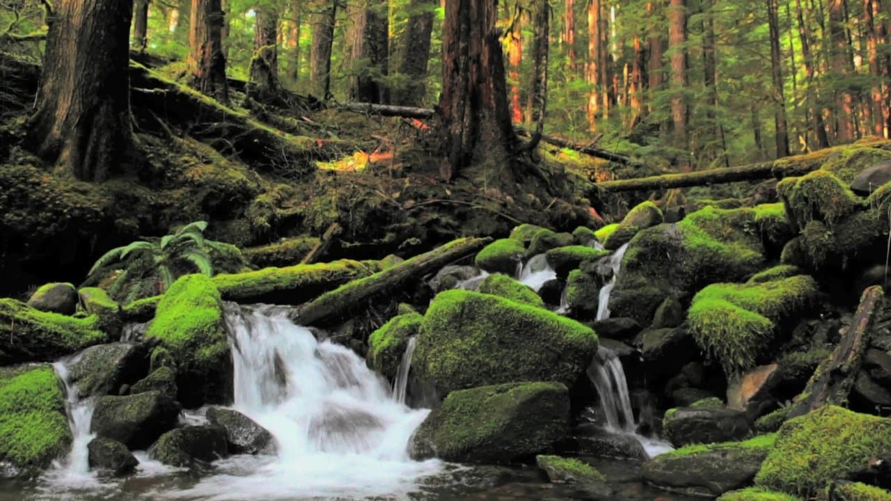 BluScenes: Majestic Waterfalls backdrop