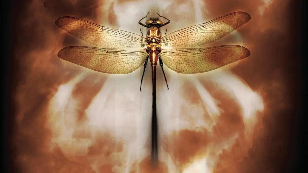 Coheed and Cambria: Neverender backdrop
