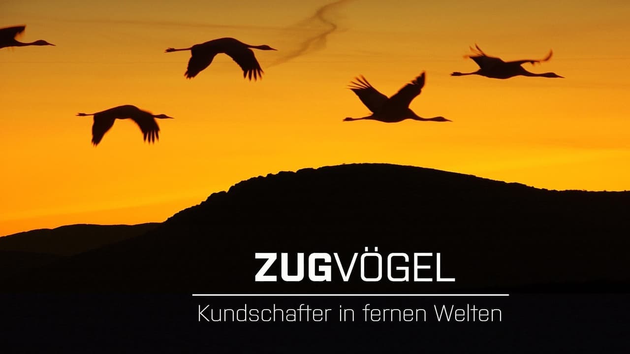 Zugvögel - Kundschafter in fernen Welten backdrop