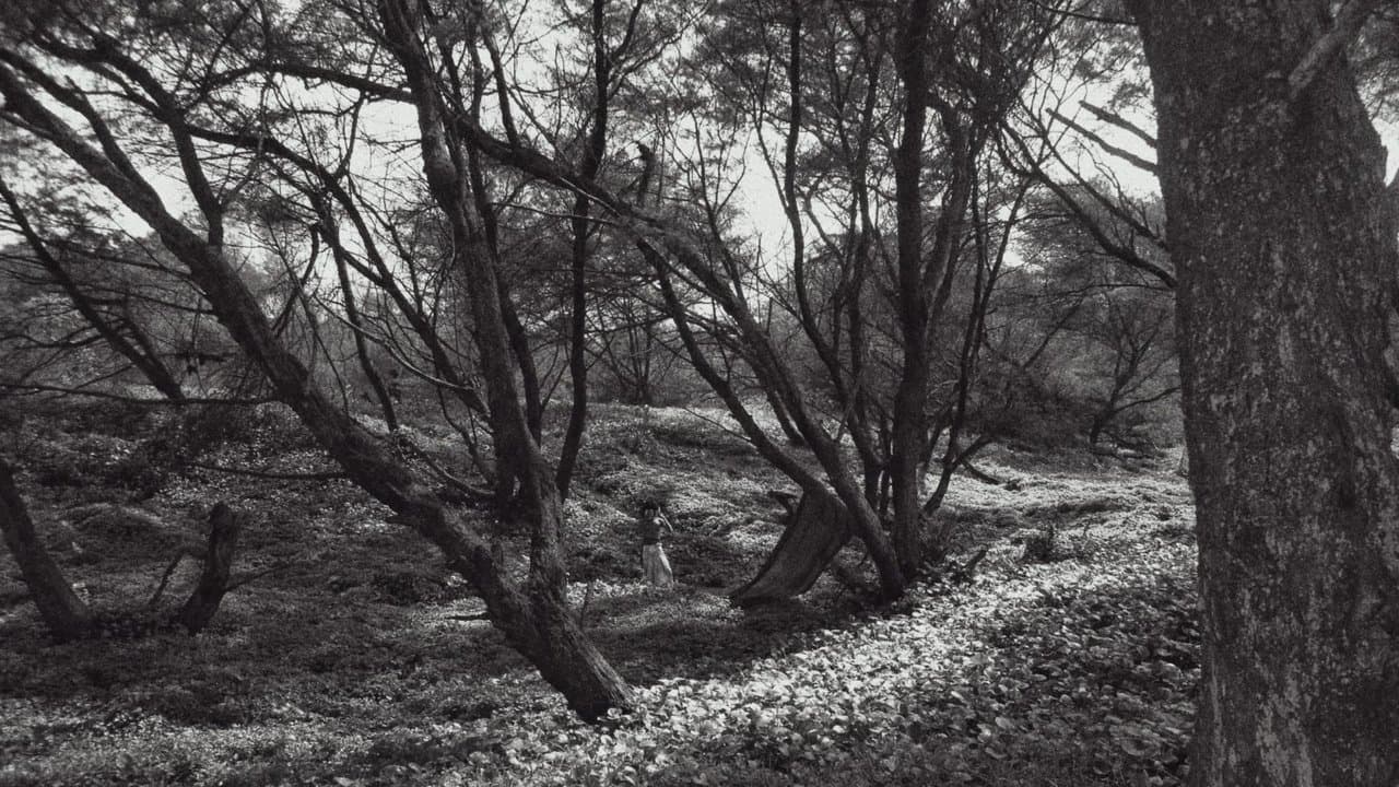Under The Idhum Tree backdrop