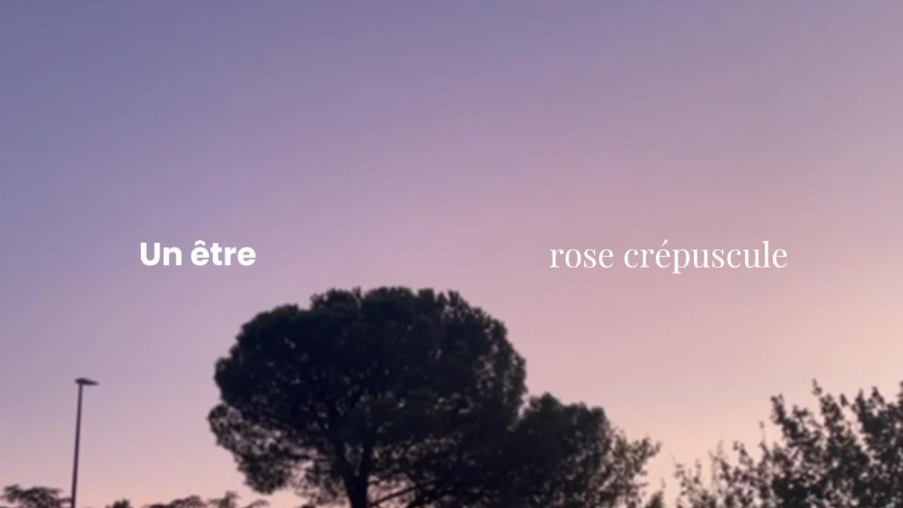 Un Être Rose Crépuscule backdrop