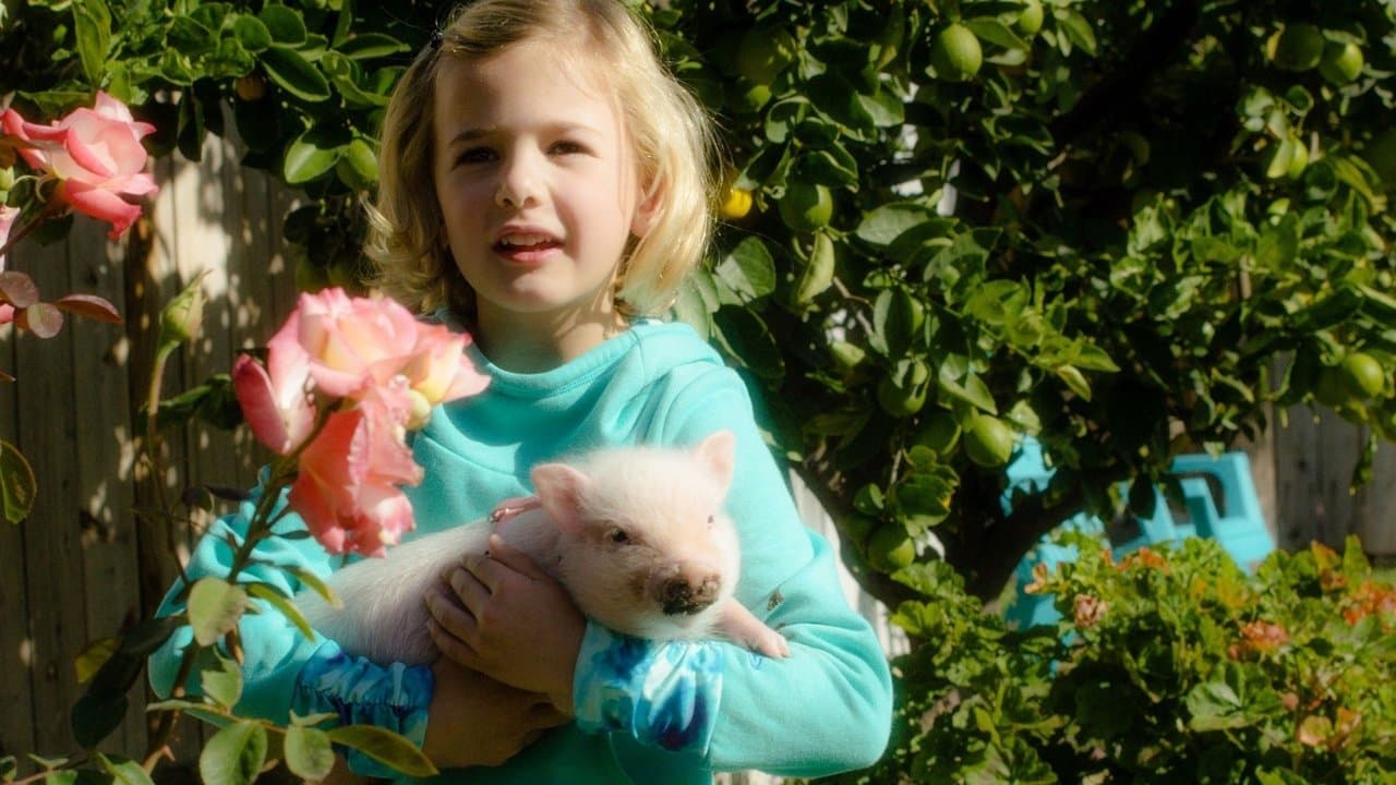 Arlo: The Burping Pig backdrop