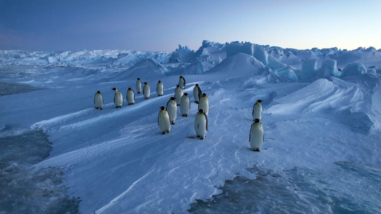 Vincent Munier, éternel émerveillé backdrop