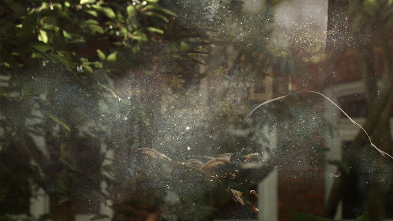 Ada Kaleh backdrop