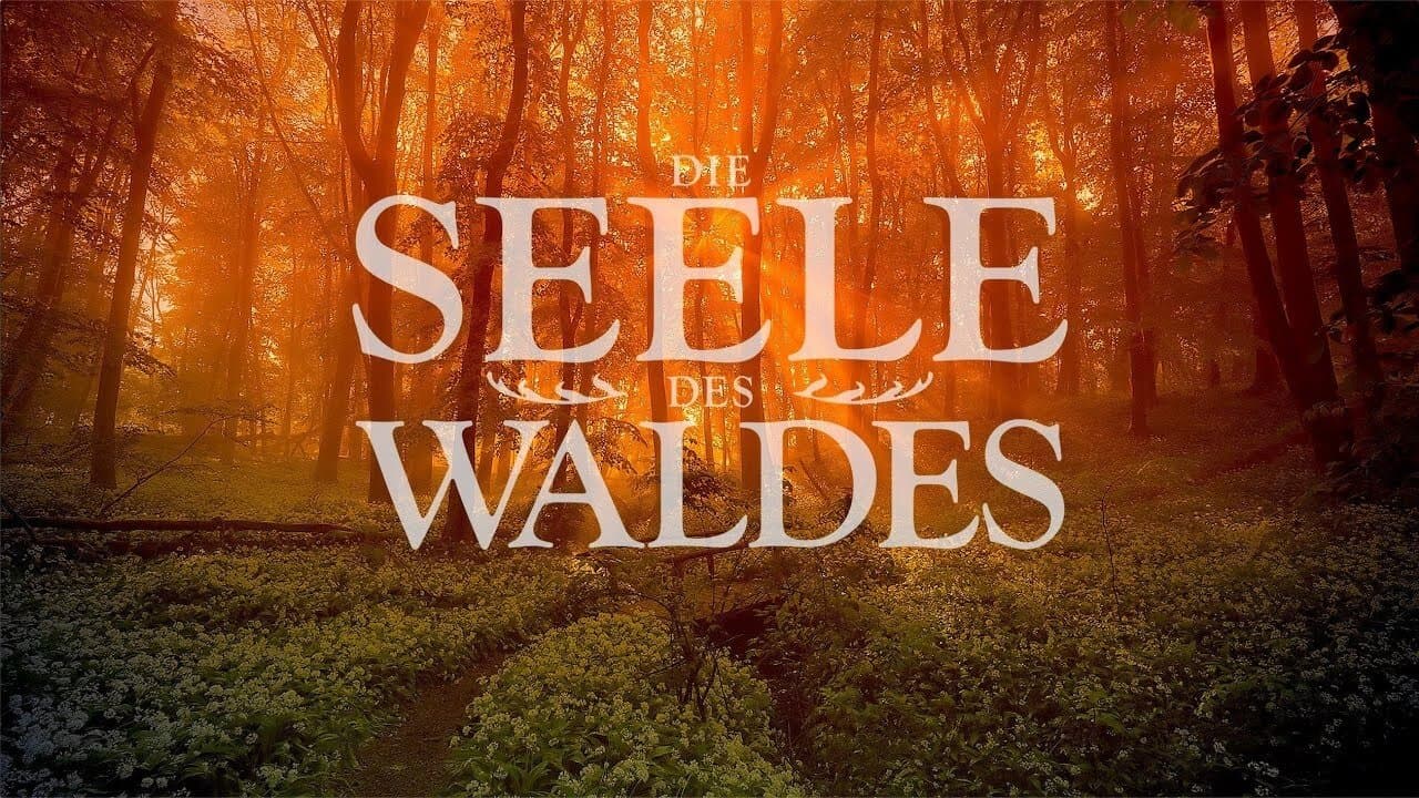Die Seele des Waldes backdrop