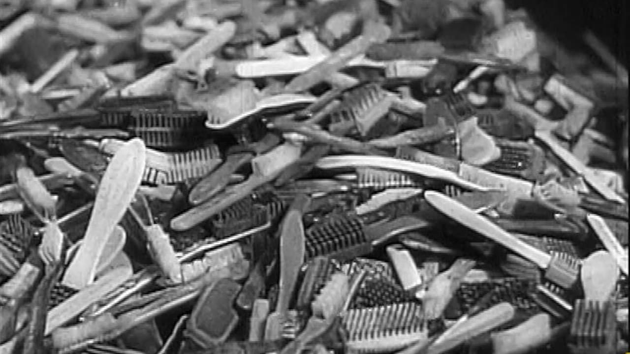 Shoah, les oubliés de l'histoire backdrop