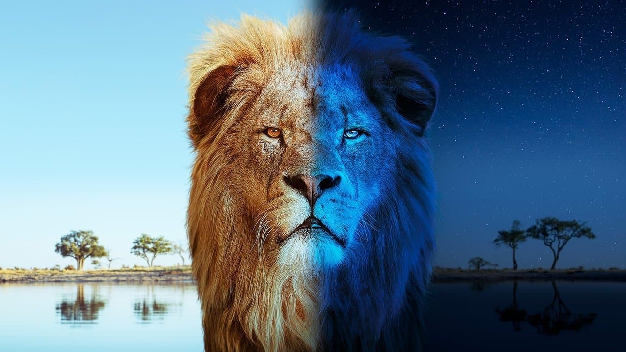 Big Cats 24/7 backdrop