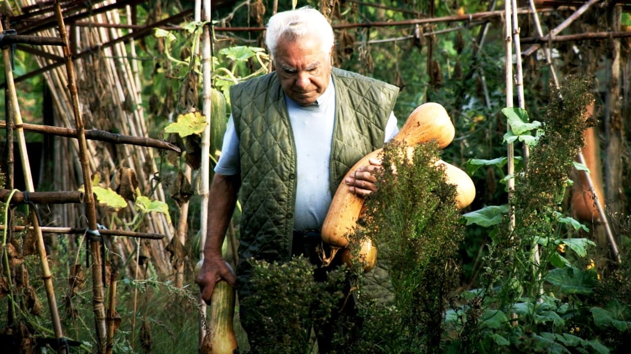 Le potager de mon grand-père backdrop