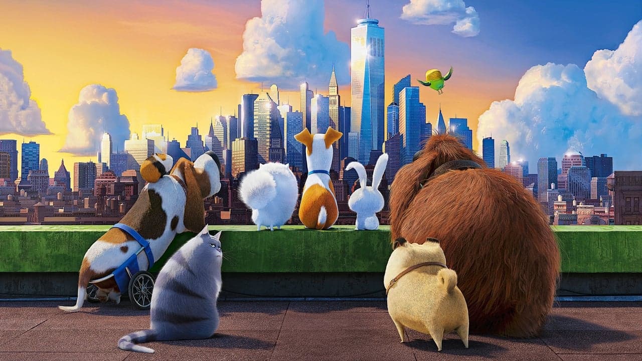 The Secret Life of Pets backdrop