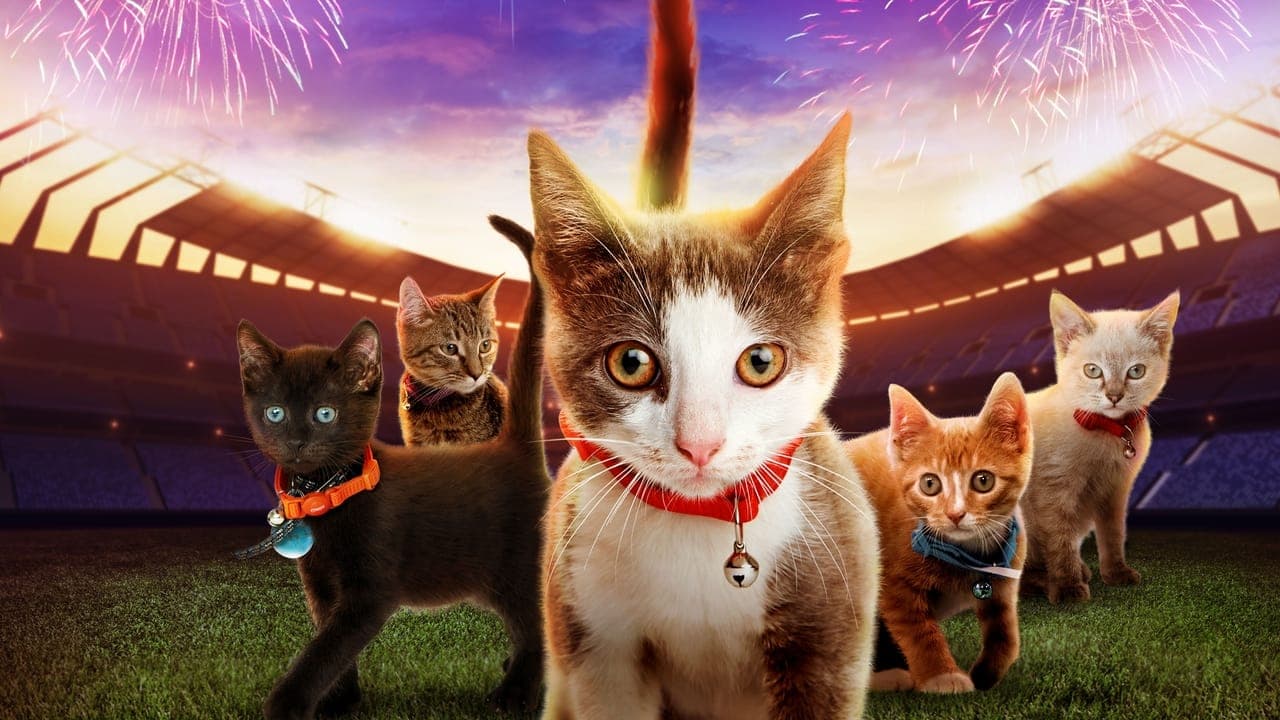 Kitten Bowl VII backdrop