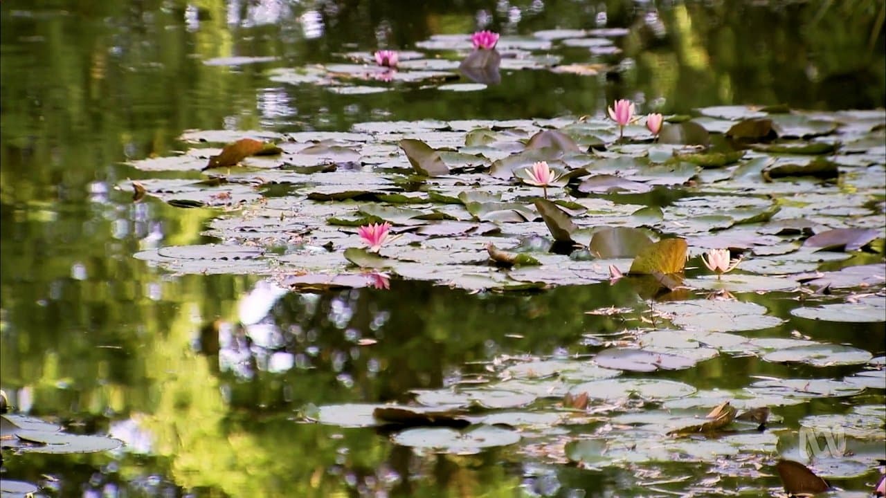 Monty Don's French Gardens backdrop