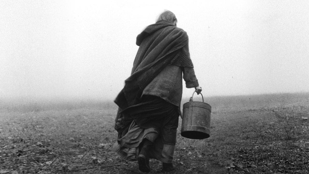 The Turin Horse backdrop