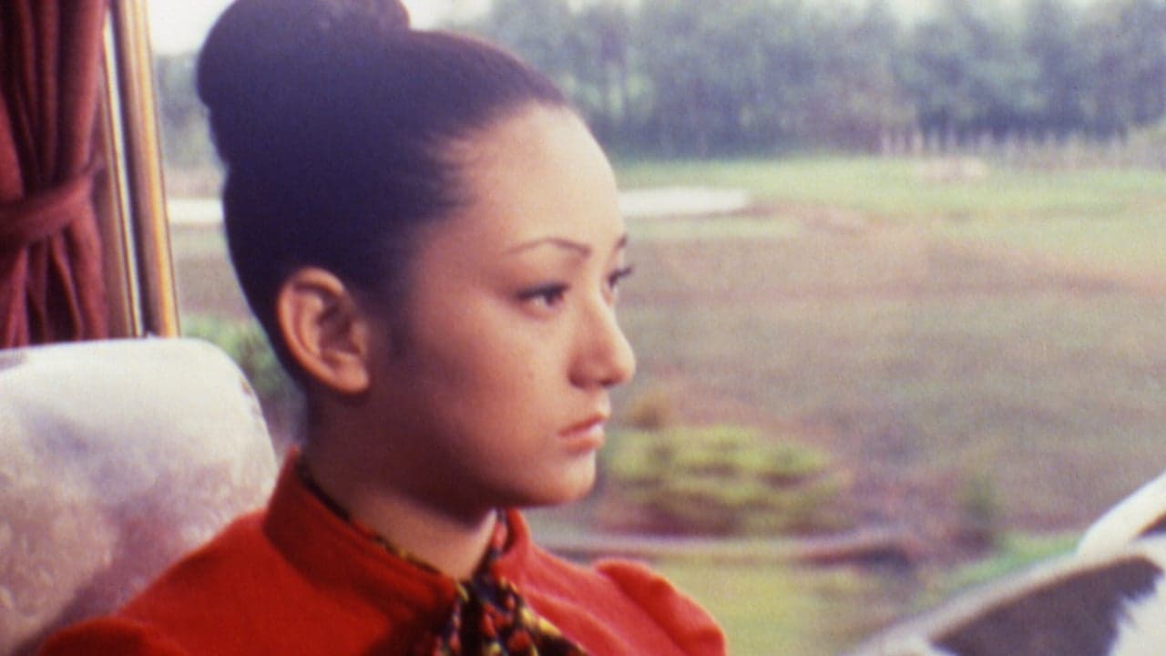 Woman on the Night Train backdrop