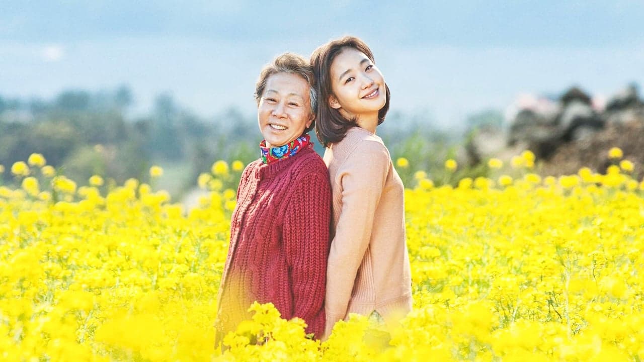 Canola backdrop