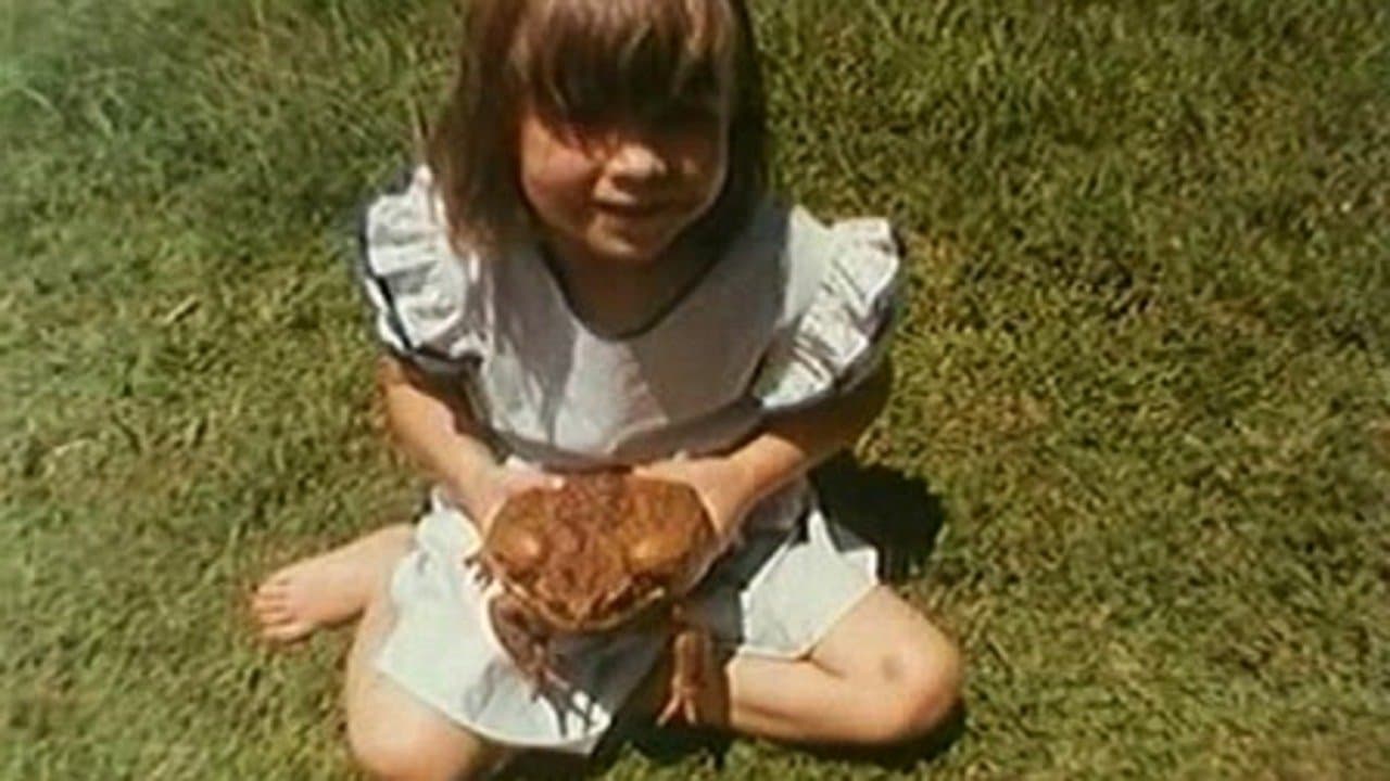 Cane Toads: An Unnatural History backdrop