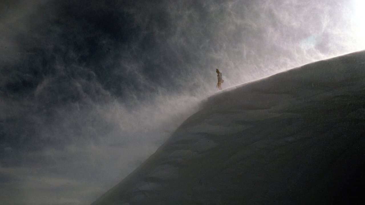 Buried: The 1982 Alpine Meadows Avalanche backdrop