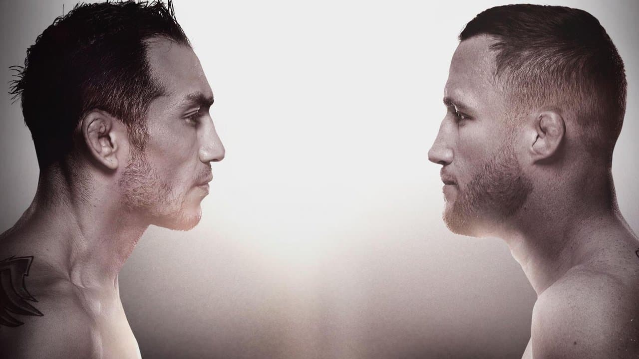 UFC 249: Ferguson vs. Gaethje backdrop