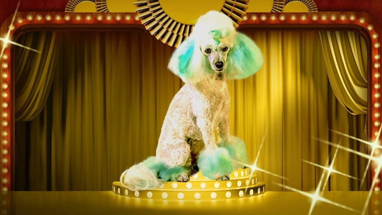 Haute Dog backdrop