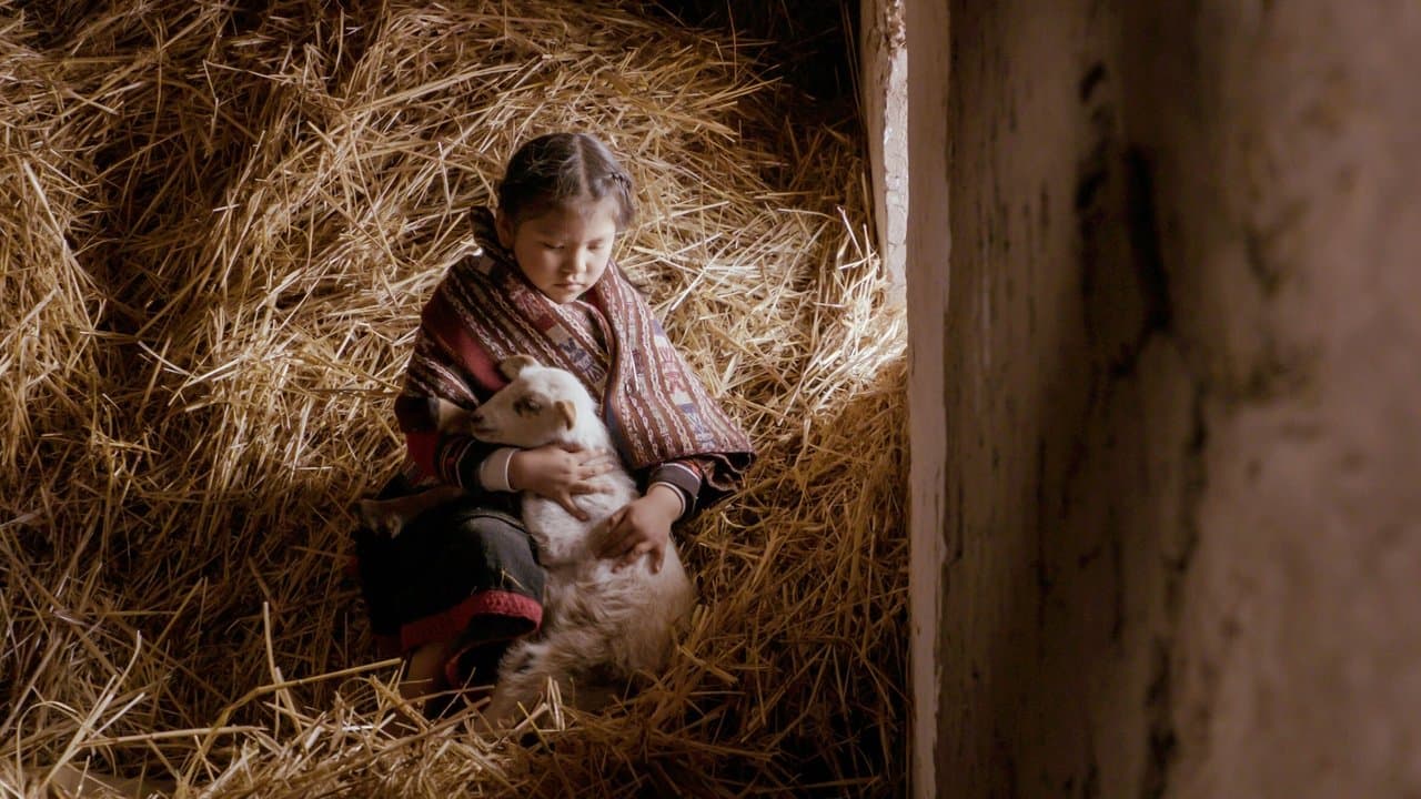 Mama Irene, Healer of the Andes backdrop