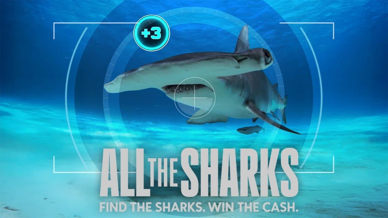 All the Sharks backdrop