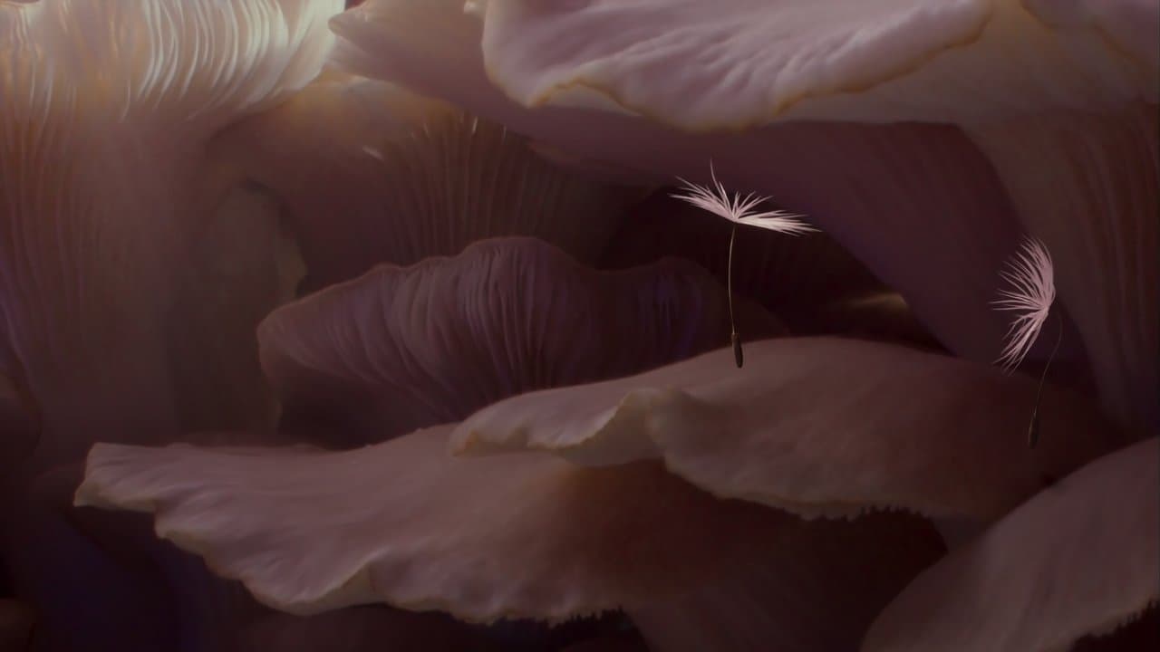 Dandelion's Odyssey backdrop
