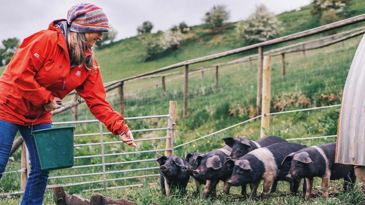 A Cotswold Farmshop backdrop