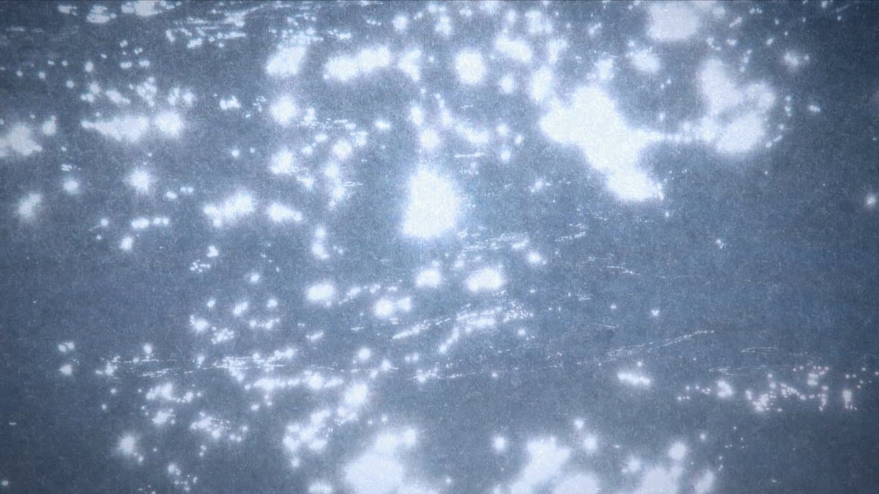 Microcosmos backdrop