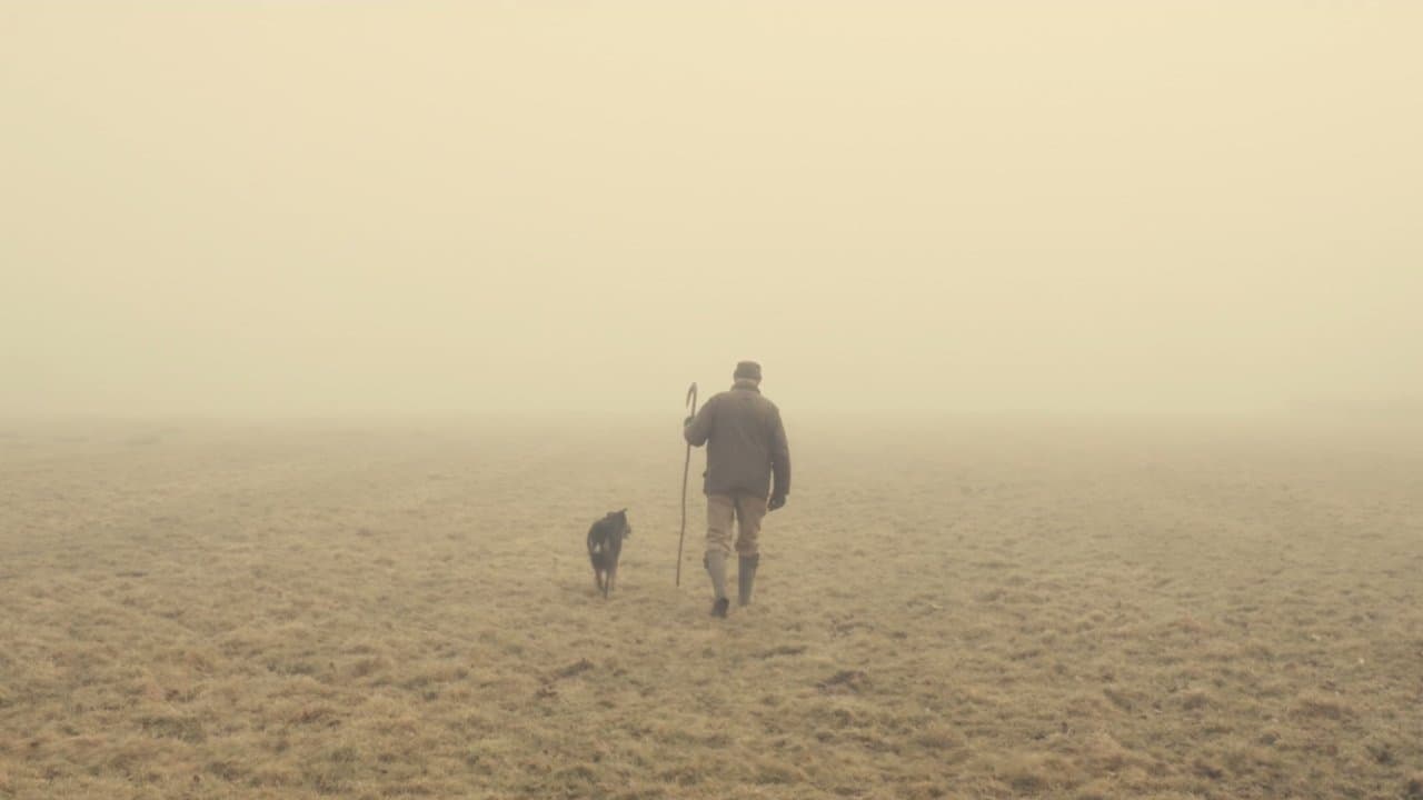 The Old Man and the Land backdrop
