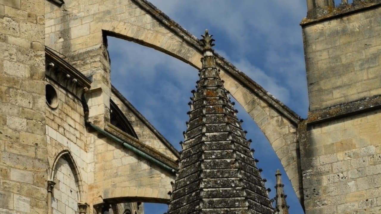 Interactions 14: Bourges Cathedral backdrop