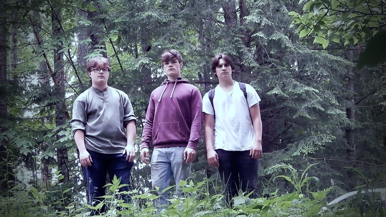 Lost In The Woods backdrop