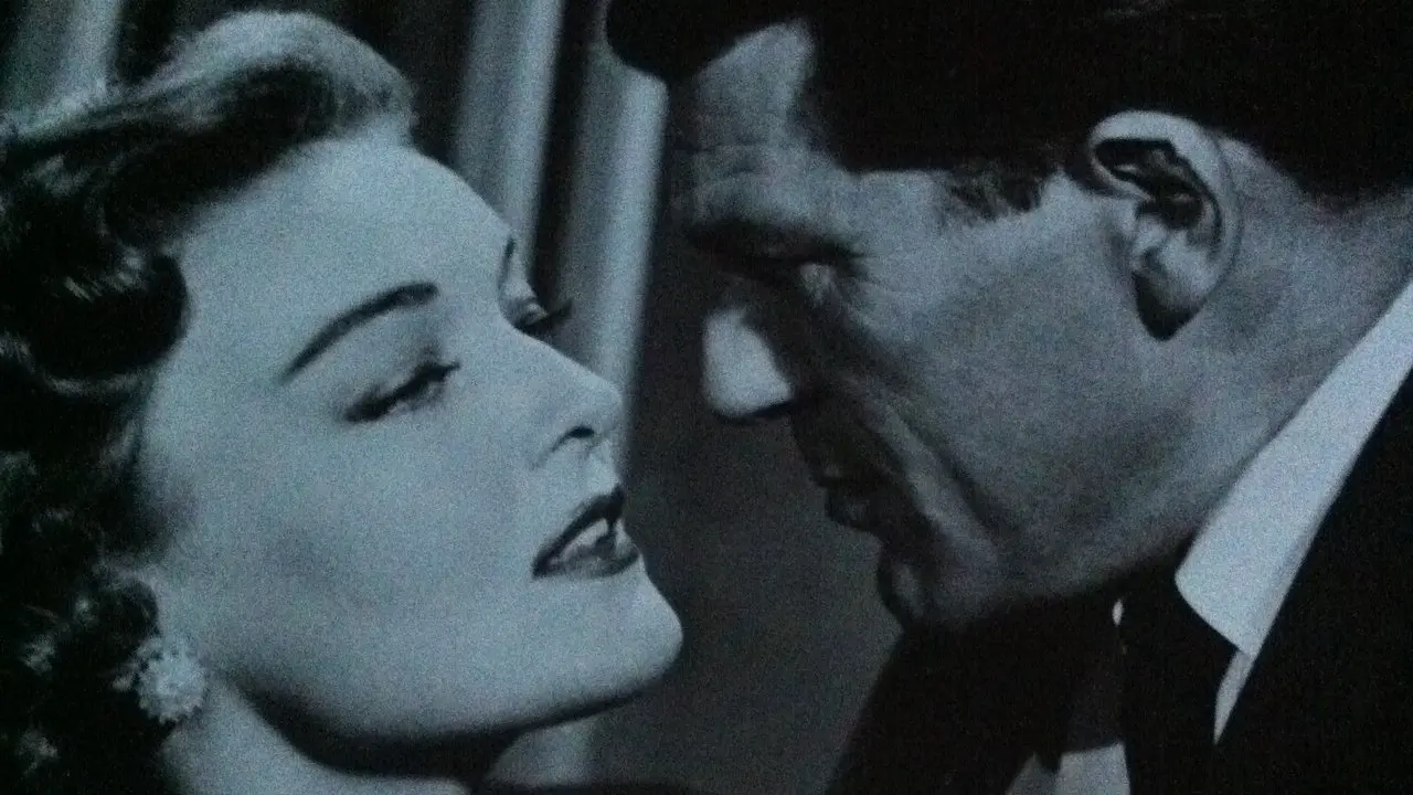 Casablanca backdrop