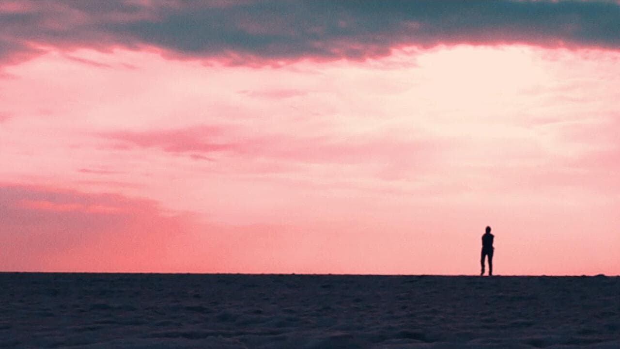 Scavenger backdrop