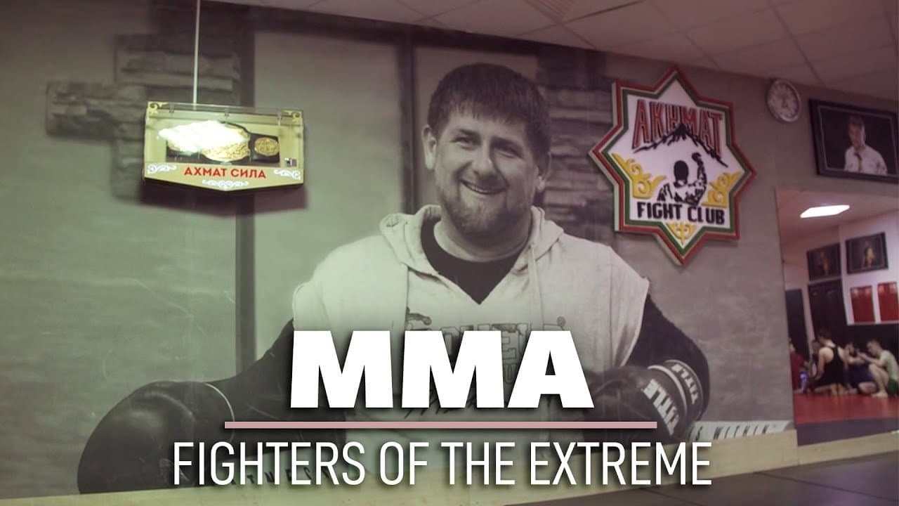 MMA: Fighters of the Extreme backdrop