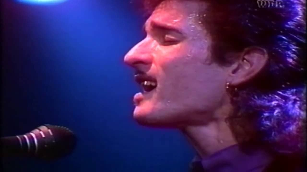 Willy DeVille: Live in the Lowlands backdrop