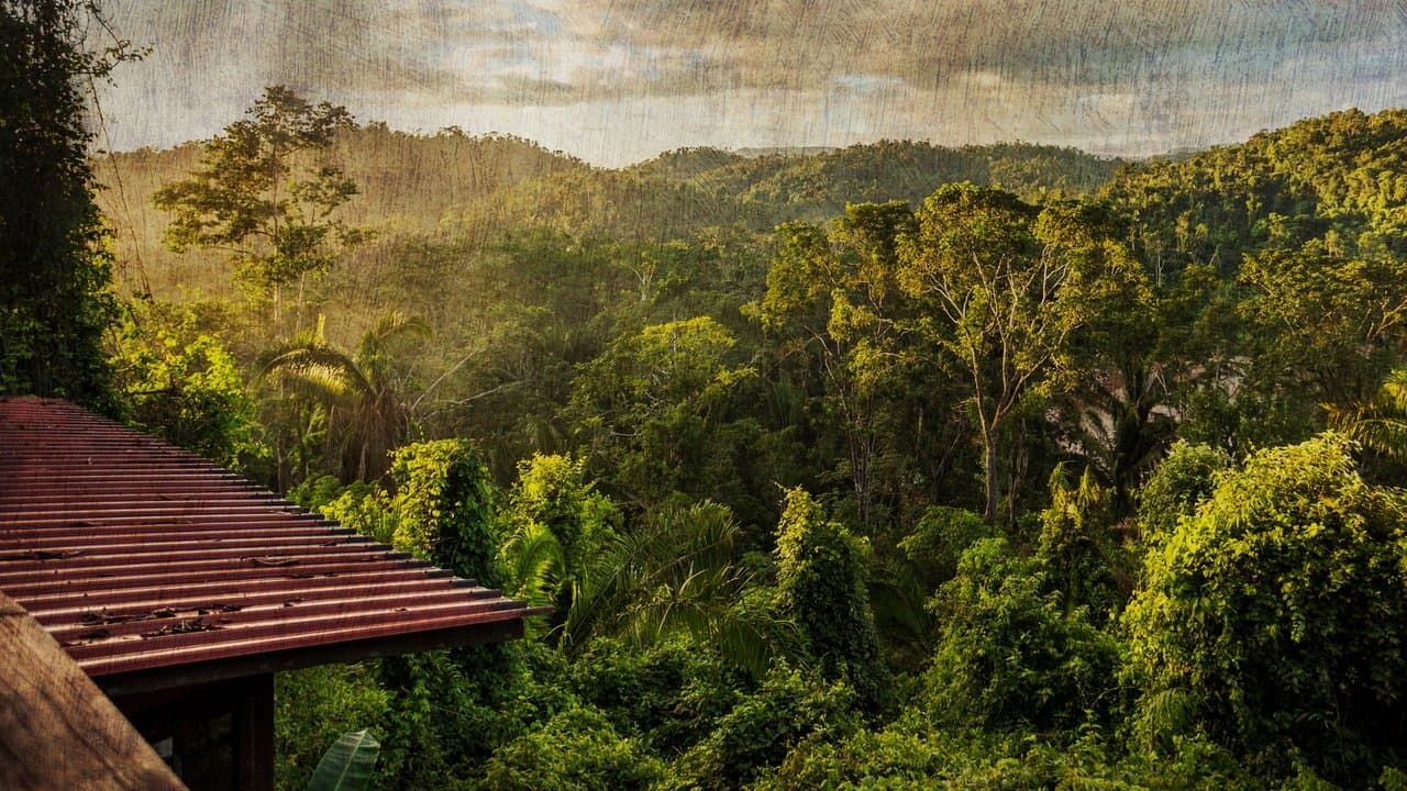 The Cannibal in the Jungle backdrop